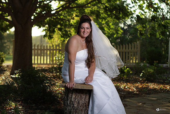Bridal Portraits